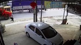 CẢNH KINH HOÀNG: Cậu Bé Bảo Yên Suýt Bị Xe Tải Đè Chết Khi Chạy Trốn Chó Hoang!